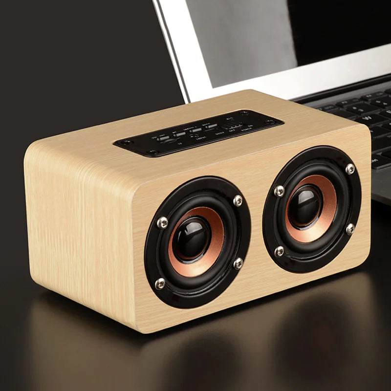 Haut-Parleur Bluetooth Sans Fil